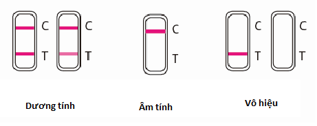 Que thử viêm gan B MediUSA / Hepatitis Test